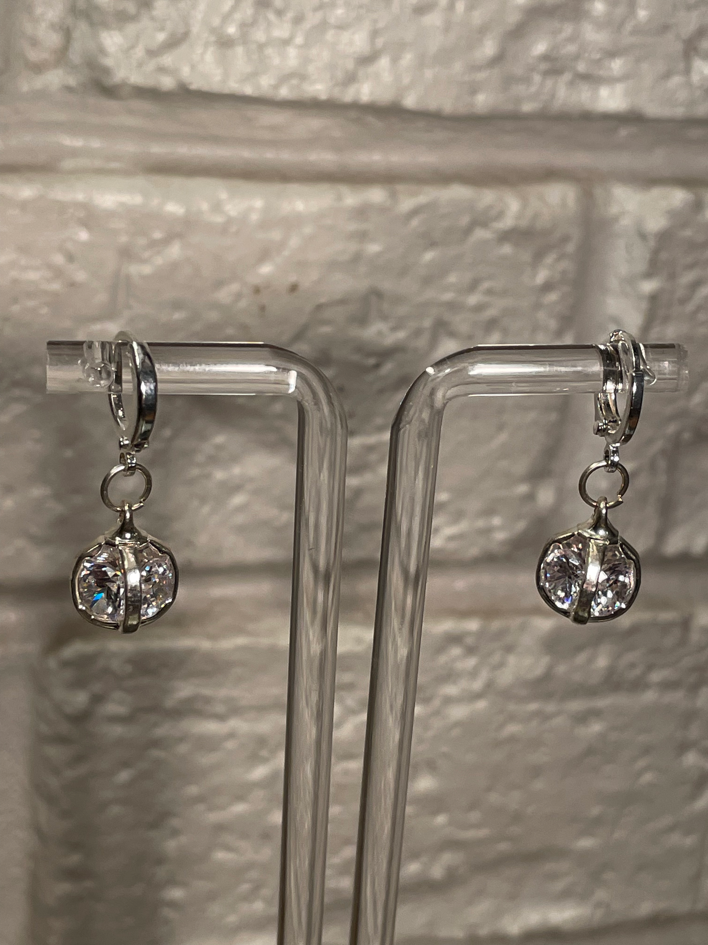 Caged Beauty Earrings