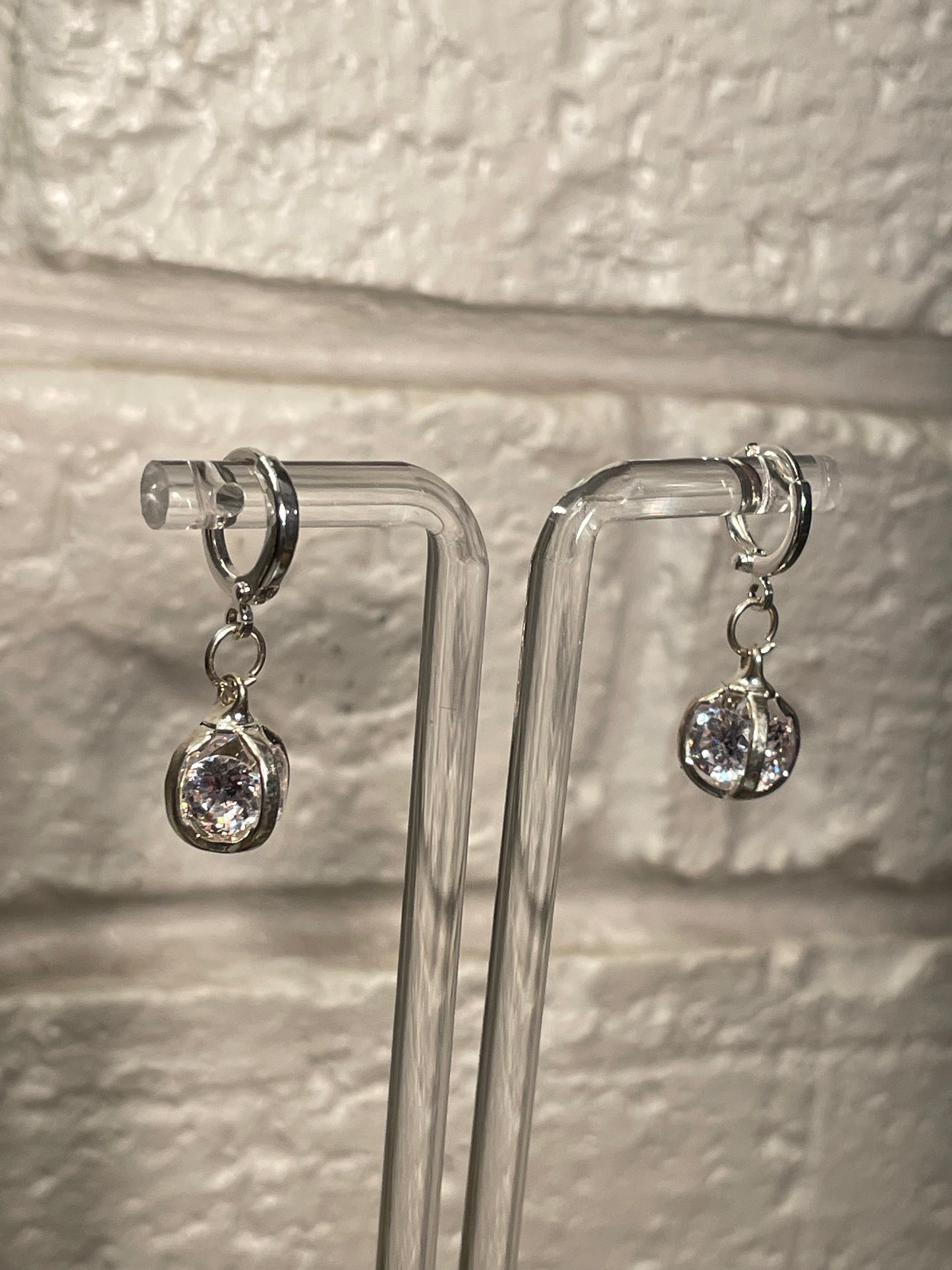 Caged Beauty Earrings