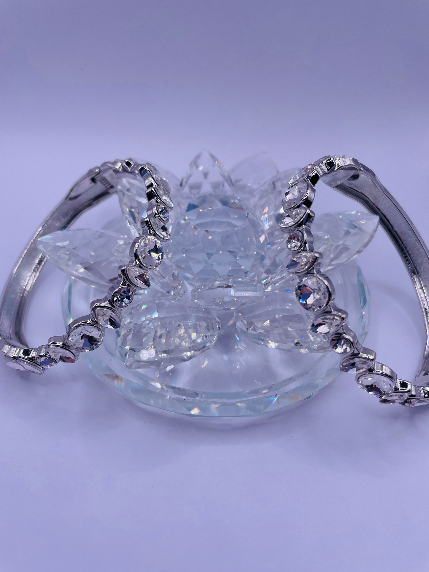 Seduction Hinge Bracelet