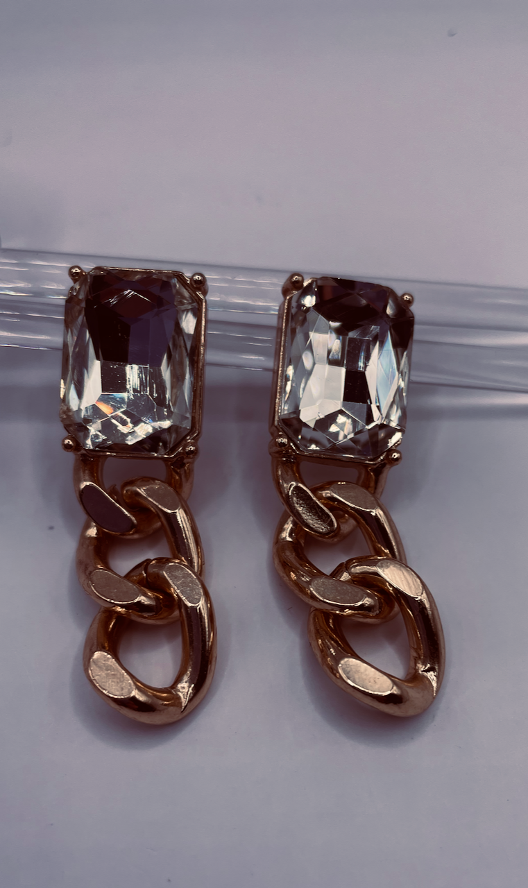 Luxuriant Links Earrings
