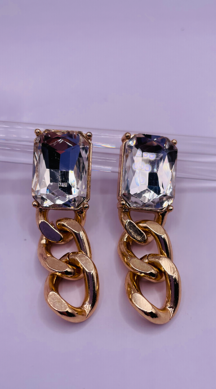 Luxuriant Links Earrings